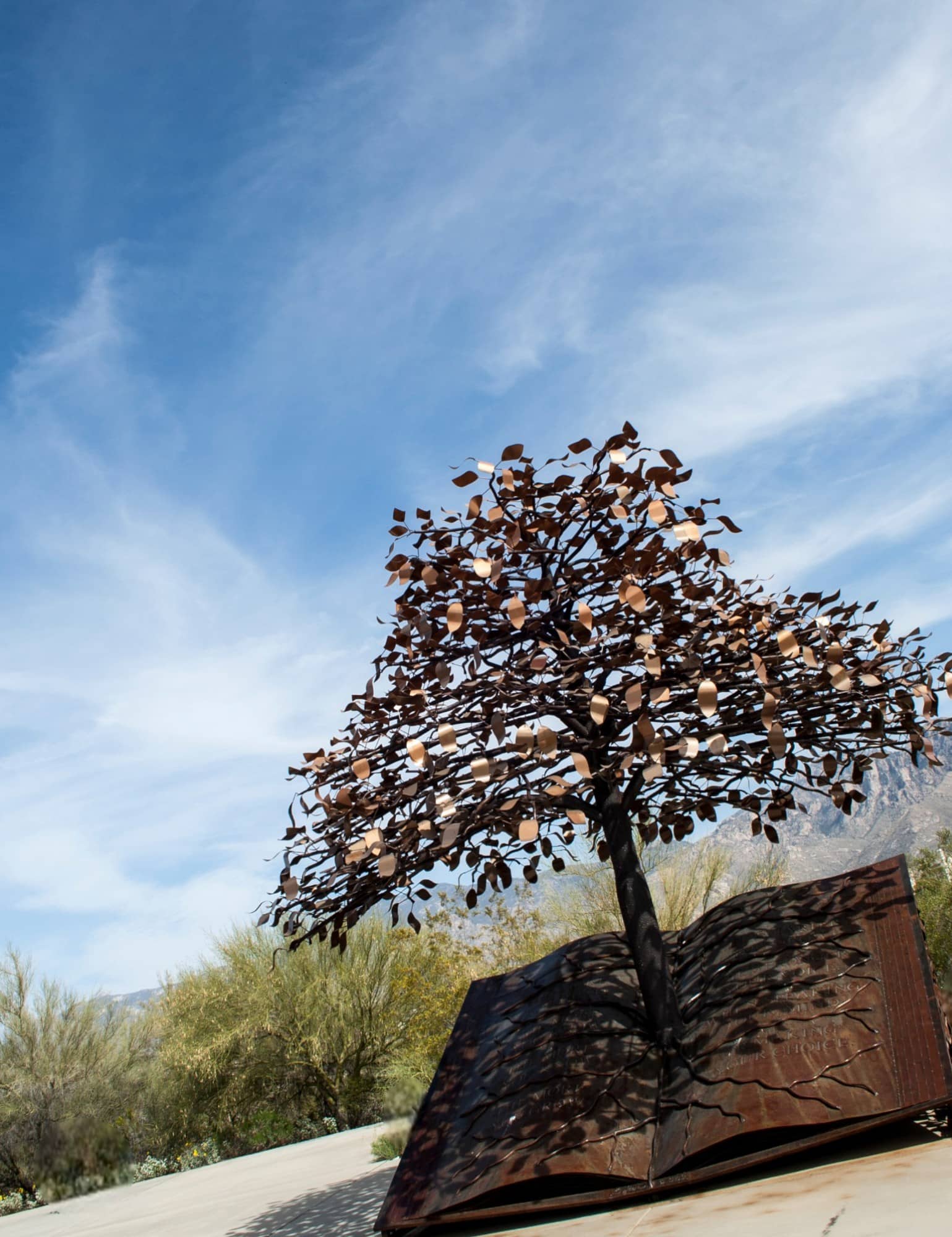 Tree of Knowledge public art at the Oro Valley Public Library