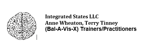 integrated states llc