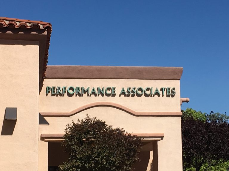 performance associates international