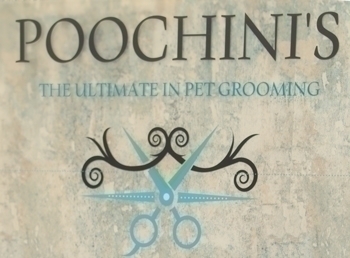 poochini’s pet grooming