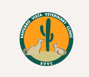 sahuaro vista veterinary clinic