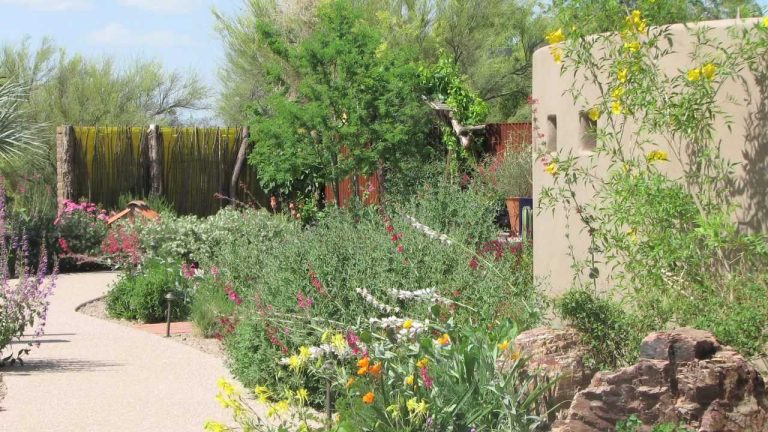 tohono chul park
